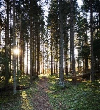 00 VANDRING Vandring Björnkärr-Gillwell-Ällmora. Samåkning från Vikingen kl 10.00 alt från Bilsbro kl 10.15. Lätt vandring, 5,5 km på grusvägar, stigar och asfalt. Medtag matsäck.