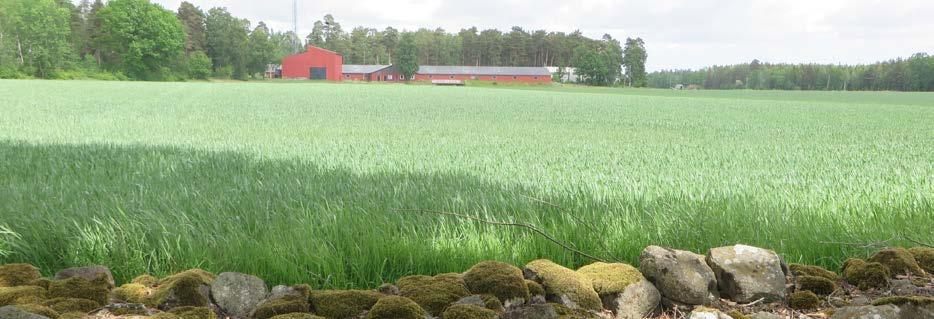 BILDER Järnsida, smedja.
