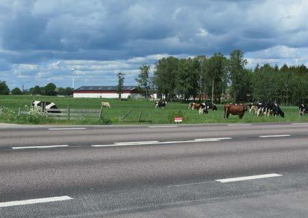 trästaket.