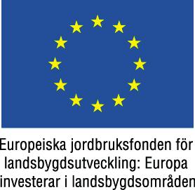 ASF Akademin 2018-2020 ASF Akademin är ett socialfondsprojekt som erbjuder kompetensutveckling till arbetsintegrerande sociala företag runt om i landet för att arbetsträningen ska bli ännu bättre och