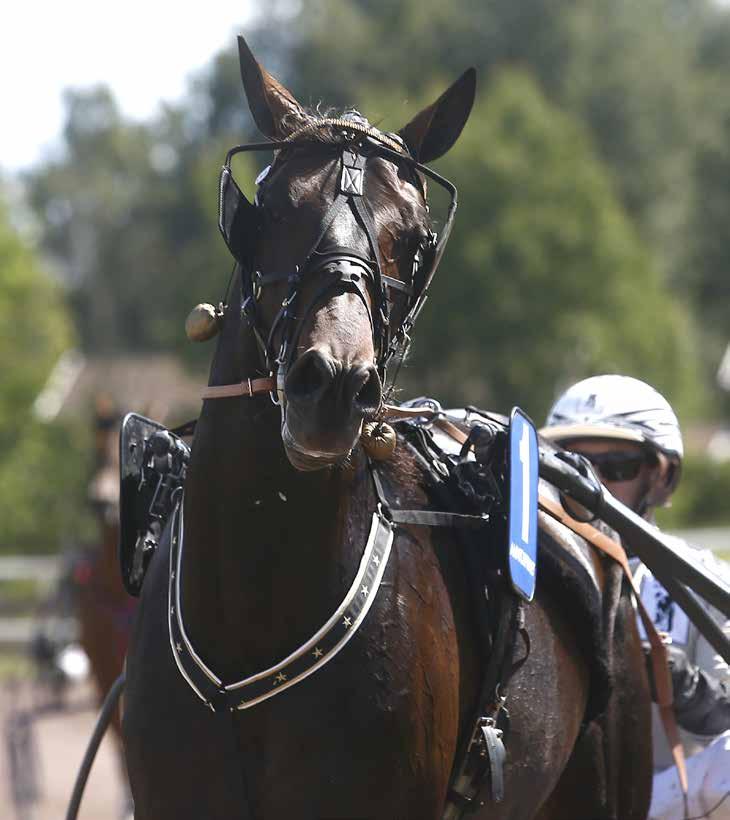 STALL Magnus Jakobsson