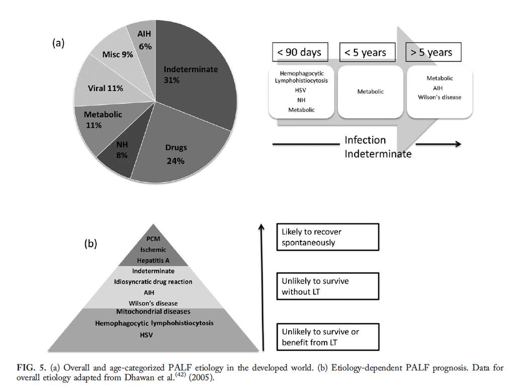 Budd-Chiari diagnostik vid AFL? AFL etiologi förenklat - kom ihåg Hepatiter/kolangiter Drug induced liver injury (DILI) Autoimmuna/alloimmuna Läkemedel (och TPN) Infektiösa Växter och xenobiotika 1.