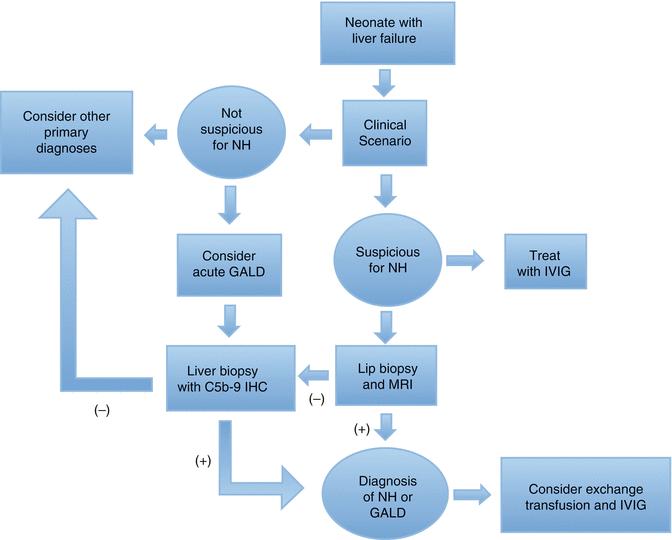 CT Metabola/ genetiska α 1 -antitrypsinbrist Wilsons sjukdom Reyes syndrom m fl Spädbarnets metabola leversjukdomar Hematologiska/ kirurgiska Lymfom, leukemier, HLH m fl Tromboser i stora kärl