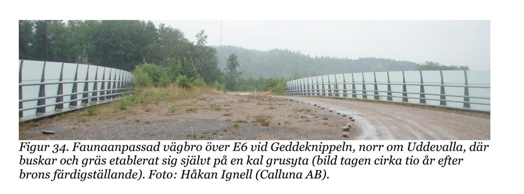 En planskild passage över väg 35 för gång- och cykeltrafik i kombination med biltrafik planeras i höjd med Grebo. Se vidare kap 4.