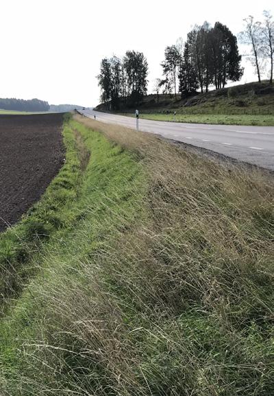 3.5 Vegetation Markvegetation Befintlig vegetation ska sparas i så stor utsträckning som möjligt eftersom den kräver mindre skötsel och ger ett färdigt resultat från början.