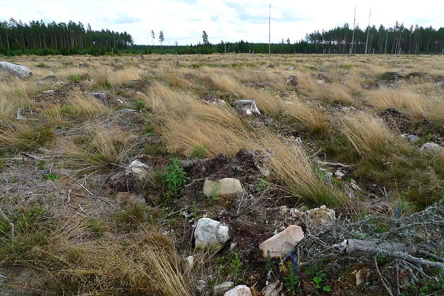 Bilaga 1- Beskrivning av försökslokalerna Försökslokal Hade, 10 km SO Gysinge Bergvik Skog / Korsnäs, Region Gästrikland Areal: 16.