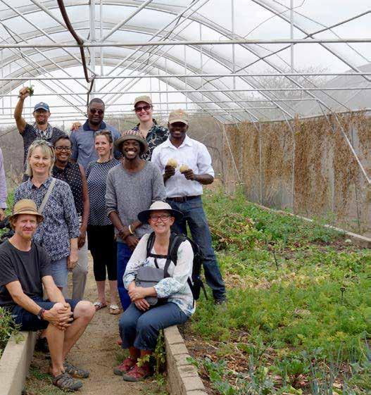 Foto: Malmö stad Deltagare i det kommunala partnerskapet mellan Malmö och Swakopmund i Namibia skördar resultat från projektet Awareness III Urban Gardening.