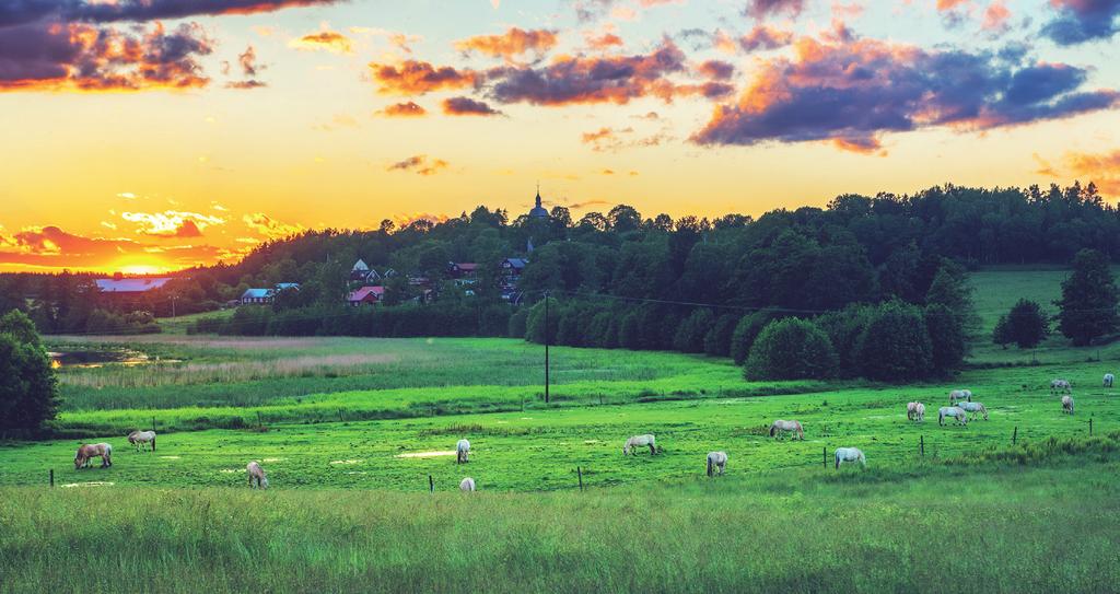 Landsbygd samt outnyttjade resurser Vi Sverigedemokrater vill återskapa en levande landsbygd bl.a. genom att skapa ett samarbete med Svenska kyrkan när det gäller fritidslokaler i alla orter.