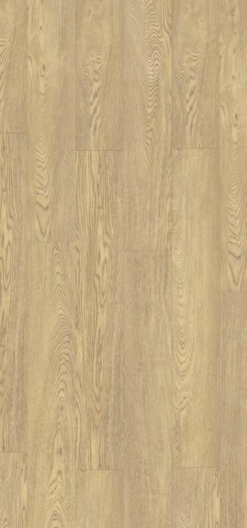 CREATION 55 ROYAL