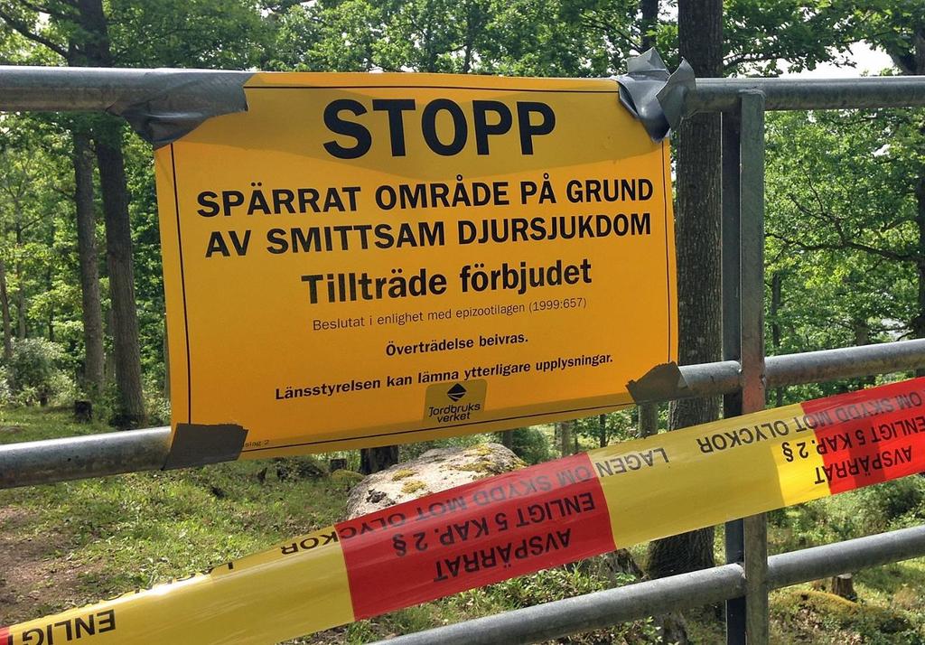 Öva enkelt Konstaterat fall för