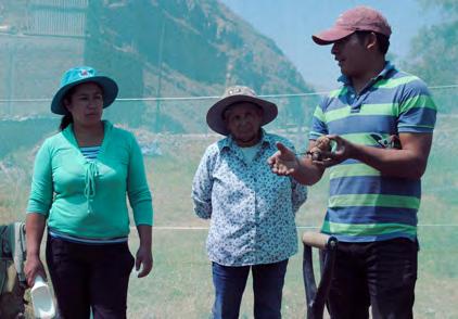 Föreningen Productores fruticultores del paraíso de Tipan deltar i workshop om avokadoodling som hålls av Eloy Miranda Ramos.