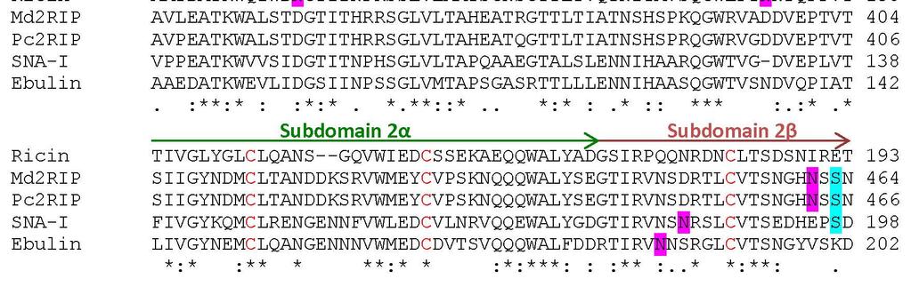 The N-terminal signal peptide and linker are shown in gray.