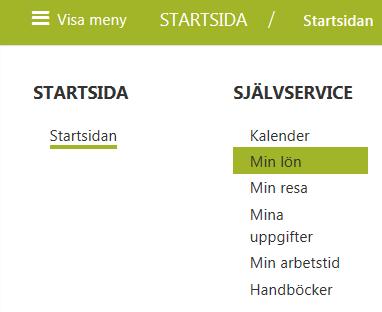 Alla anställningar Översikt över alla sina anställningar samtidigt i en kalender till skillnad från anställning som enbart