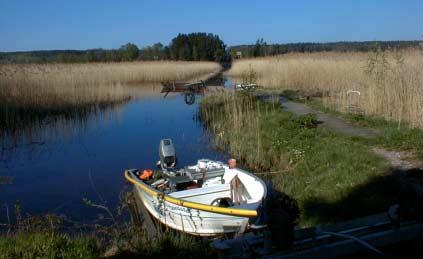 Växtplankton 2 En detaljerad beskrivning av årets mätresultat gällande växtplankton i sjöar finner Du på föreningens hemsida, www.dalalvensvvf.se.
