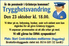 Trygghetsvandring En sammanställning av trygghetsvandringen den23 oktober 2013 kl 18.00 Inbjudan riktade sig till pensionärer och det kom ca 20 st.