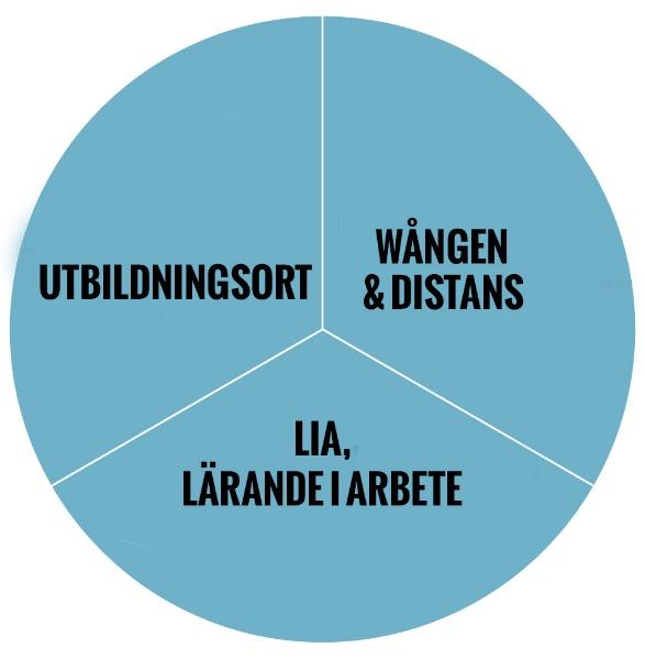 ytterligare information kring upplägget. Du står själv för ev. kostnader i samband antagninsprovet, t.ex. för resa och uppehälle.