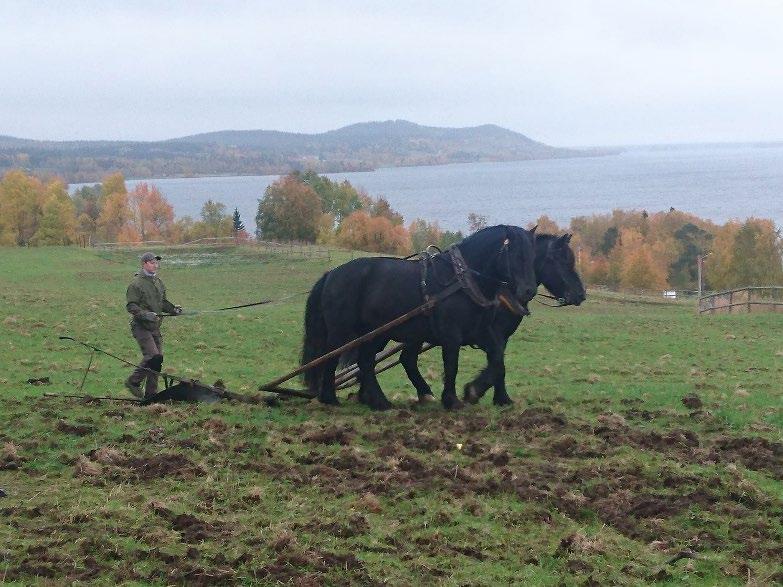 Att studera på yrkeshögskola På en yrkeshögskola förväntas du ta eget ansvar för dina studier.