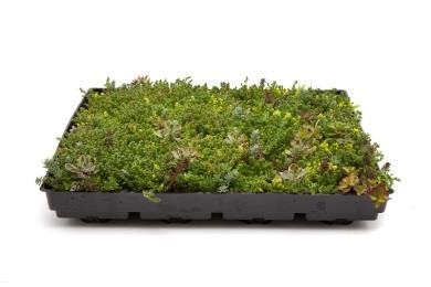 Produkten Ett enkelt system Nature Impact Roof är ett modulbaserat system som snabbt och