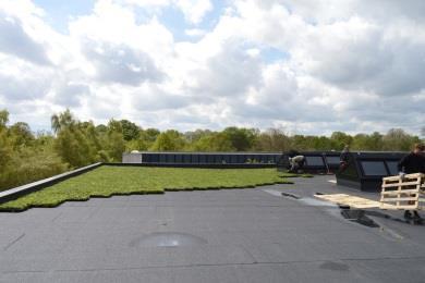 Vid kranlyftning av Nature Impact Roof bör man använda godkänd