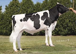 20 71%R SCS 3.08 PTAT 1.84 77%R TPI 2668 UDC 1.07 Foot & Leg Comp 1.13 Sire Calving Ease 7.5% 61%R Daughter Calving Ease 4.8% 59%R Sire Stillbirth 7.1% 57%R Daughter Stillbirth 7.