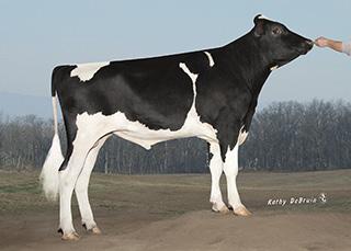 Från Desire RaeRed Familjen Style & Produktion Hälsoegenskaper Lätta kalvningar GATEDANCER 1HO11670 TRIPLECROWN GATEDANCERET Born: 12/28/14 Reg.