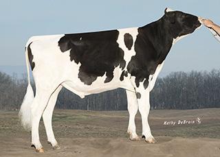 Hälsoegenskaper & Produktion Lätta kalvningar & Fertilitet Topp ICC & NM AMBASSADOR 1HO12827 COOP TROY AMBASSADORET Born: 01/11/15 Reg.