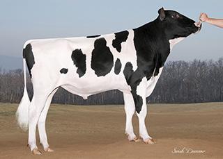 MGS: SEAGULLBAY SUPERSIREET MGD: RICHLAWN SUPER APRIL APPLE VG88,VGMS, DOM 200 2x 365d 33,750m 3.6 1219f 3.1 1049p lbs.
