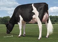 80 72%R Dam: Coop Suprsre Apple 7087ET MGD: Daughters Richlawn Super April G Apple Herds G GP84 SCS 2.94 92179 97616 210 PTAT 0.76 78%R TPI 2555 UDC 1.01 Foot & Leg Comp 0.66 Sire Calving Ease 5.