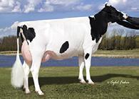 VG87, VGMS, DOM 203 2x 365d 31,750m 4.3 1368f 3.3 1060p lbs.