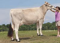 Fluid Merit +$200 Milk 1029M 45%R Protein 36P 0.02% Fat 30F 0.06% 1BS00595 CFP DEEGAN66 SUNNY ACRES TRACE DEEGAN Prod. Life 0.9 36%R SCS 2.83 Daughters Born: 09/28/12 PA Herds Reg.