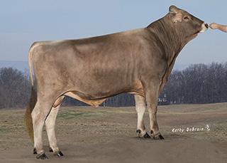 MGS: SUNMADE VIGOR ET *TM MGD: SNOW VALLEY DENVER POOH BER EX Lifetime NM +$248 61%R 51%ile Cheese Merit +$264 Fluid Merit +$213 Milk 564M 66%R Protein 25P 0.03% Fat 25F 0.01% CFP 50 Prod. Life 2.