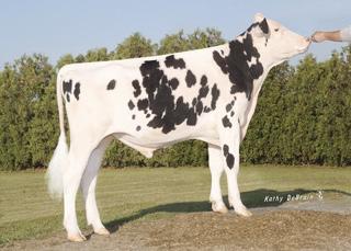 MGS: ENSENADA TABOO PLANETET MGD: MSPRIDE SHOTLE TICKER594ET VG86, VGMS, DOM 302 2x 365d 29,940m 4.1 1222f 3.1 935p lbs.
