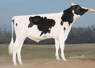 MGS: ENSENADA TABOO PLANETET MGD: BOMAZ RAMOS 5877 CRIET VG85, VGMS, DOM 202 2x 365d 24,580m 3.7 914f 3.1 774p lbs.