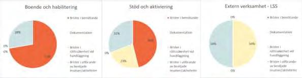 För intern LSS-verksamhet, BoHab och S&A visar sammanställningen (50 ärenden) på brister i bemötandet och i utförande av insatser/aktiviteter.