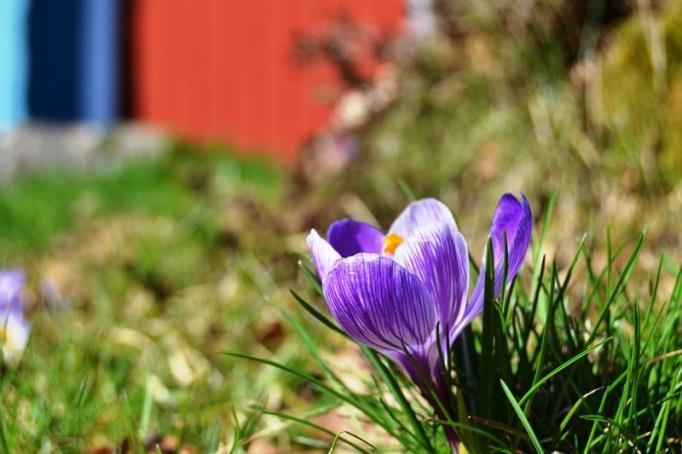 Interiör  Skogsväg S