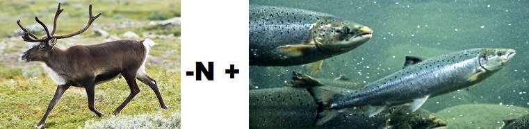 EXTRAFRÅGAN Rebus för dagen: Något vi väl gör här idag?