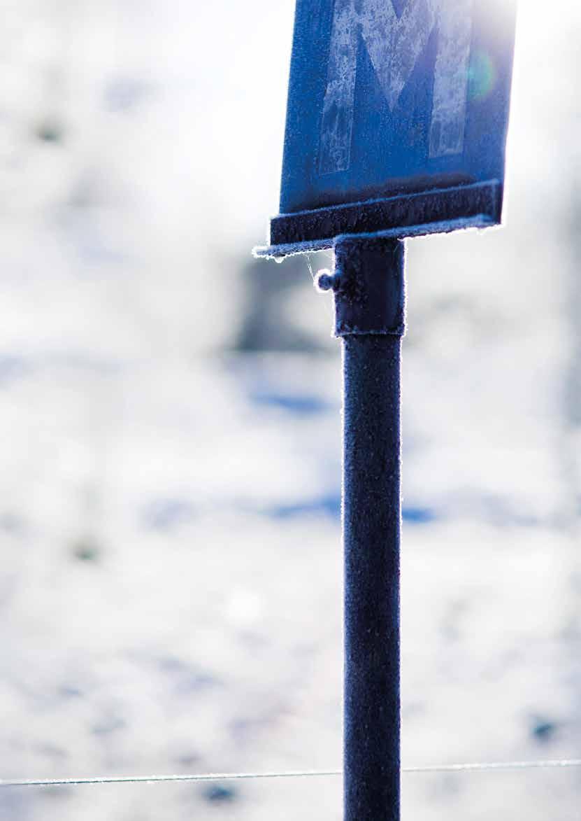gemensamt fokus på hållbar