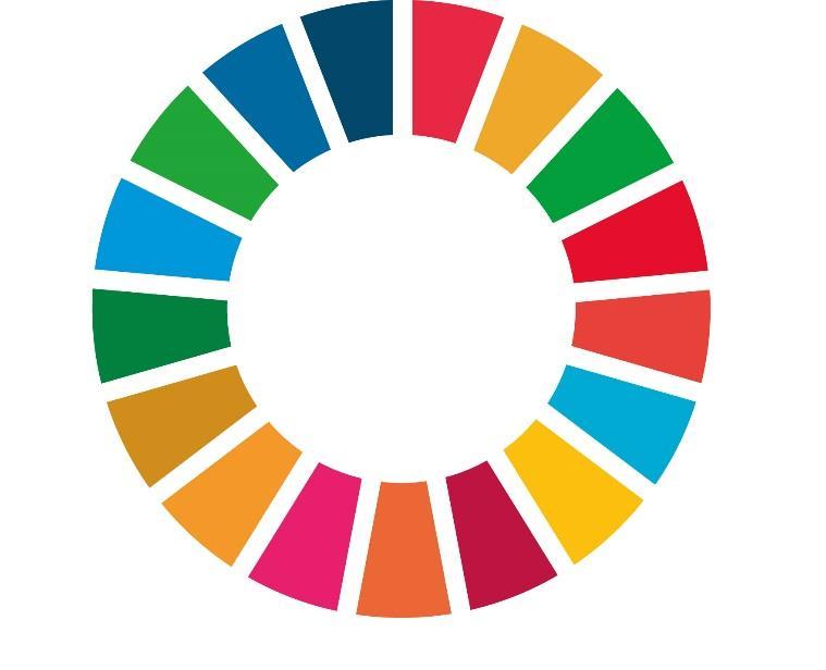 Avsedd för Agenda 2030-delegationen Dokumenttyp Rapport Datum November