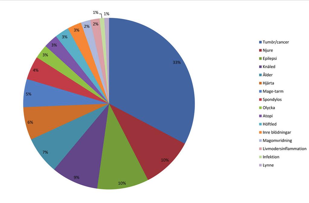 Njurar och lever 3,5 % av enkätens hundar uppges drabbade av njursjukdom. Renal dysplasi (24 %) och njursvikt (24 %) är de vanligaste diagnoserna bland dessa.