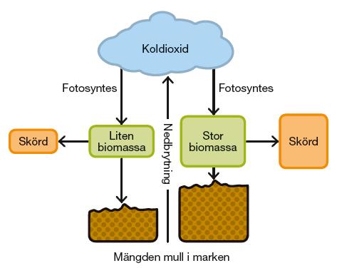 Hög produktion leder till