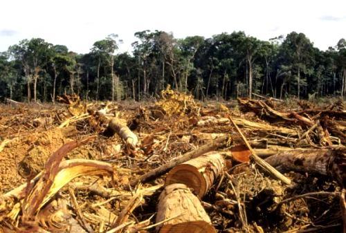8 Pg/yr; 12% Deforestation 17.