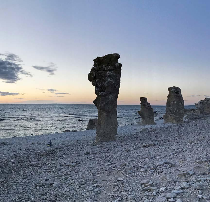 Distribution Gotland 52 Rörelsesegment
