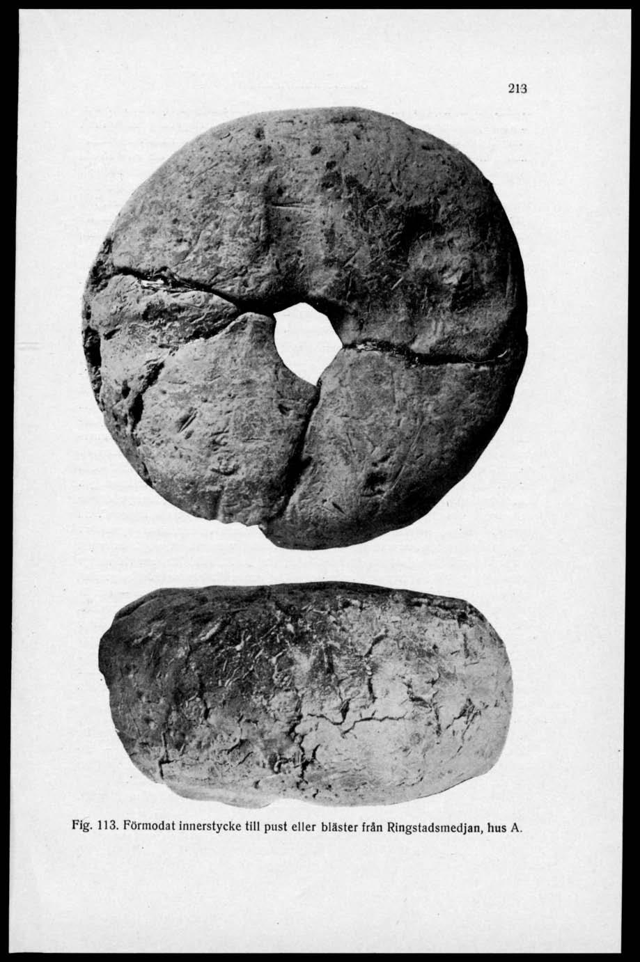 213 ' - '. ' Fig. 113.