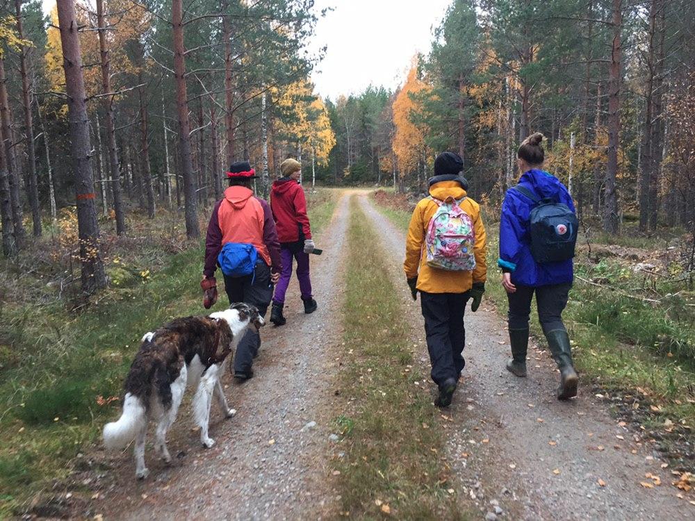 Egentligen behöver hela ekonomin ställas om till att fokusera på både ekologisk och social hållbarhet såväl som fördjupad demokrati.