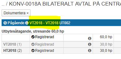 Utbytesstudier en eller två terminer?