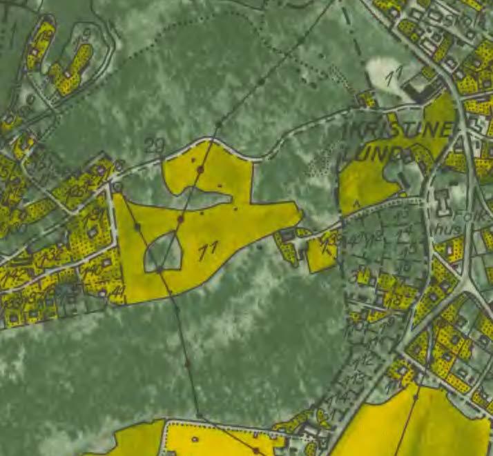 De vill ha blandskogar med rik tillgång till såväl grov död ved som gamla levande träd som är lämpliga som boplatser. En minskning av populationen pågår.