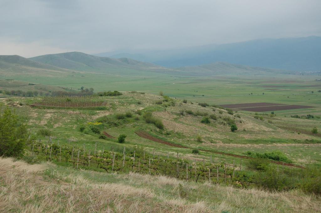 What measures should be taken to improve conditions for Swedish Farmland Birds, as reflected in the Farmland Bird Index? Åke Lindström, Ola Olsson, Henrik G.