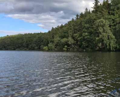 Kolets kretslopp Naturen och alla levande organismer är naturliga förråd av grundämnet kol. Till följd av människans utsläpp av koldioxid råder idag obalans mellan de olika förråden.
