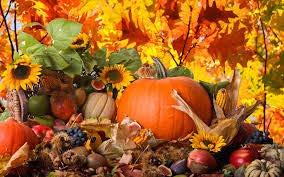Efterrätt AMERIKANSK PUMPAPAJ Paj med pumpa, eller pumpkin pie på engelska, serveras enligt amerikansk tradition på halloween och Thanksgiving. Jättegod paj som till smaken påminner om pepparkaka.