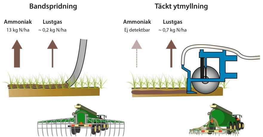 Ammoniak (NH 3 ) och lustgas (N 2 O) Bandspridning jämfört med täckt ytmyllning Dessutom: NH 3 indirekt N 2 O,